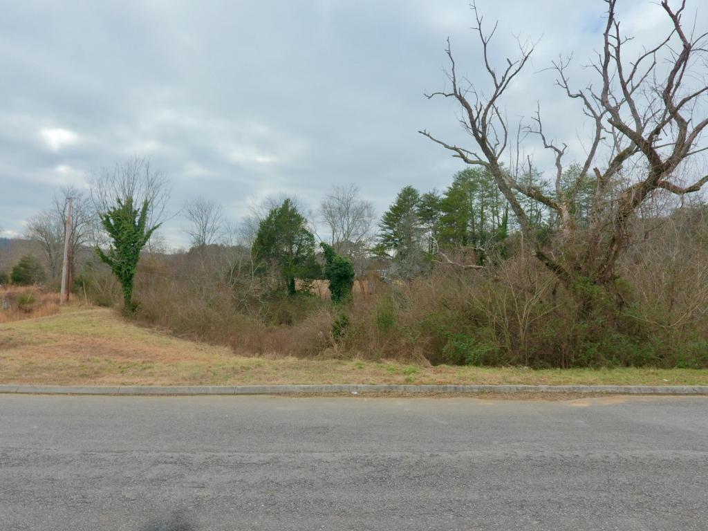 6877 Harvest Grove Lane - Photo 1