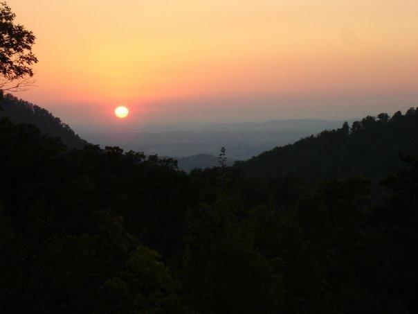 Lot 62 Turkey Ridge Way - Photo 1