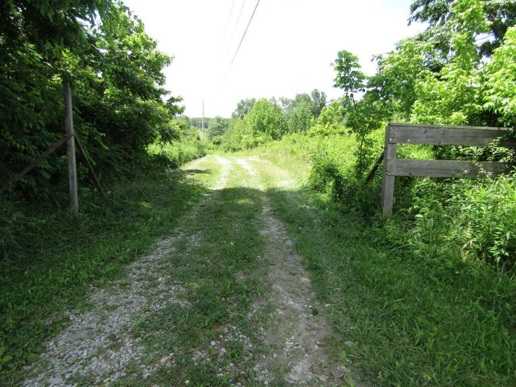 376 Bruce Lane - Photo 1
