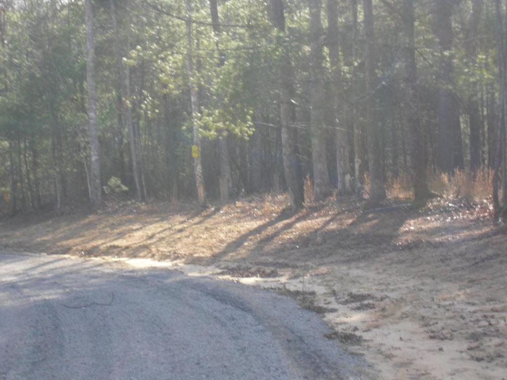 Spruce Creek Dr - Photo 1