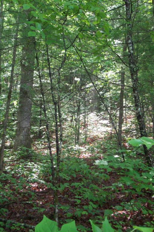 518 Chetola Tr - Photo 1