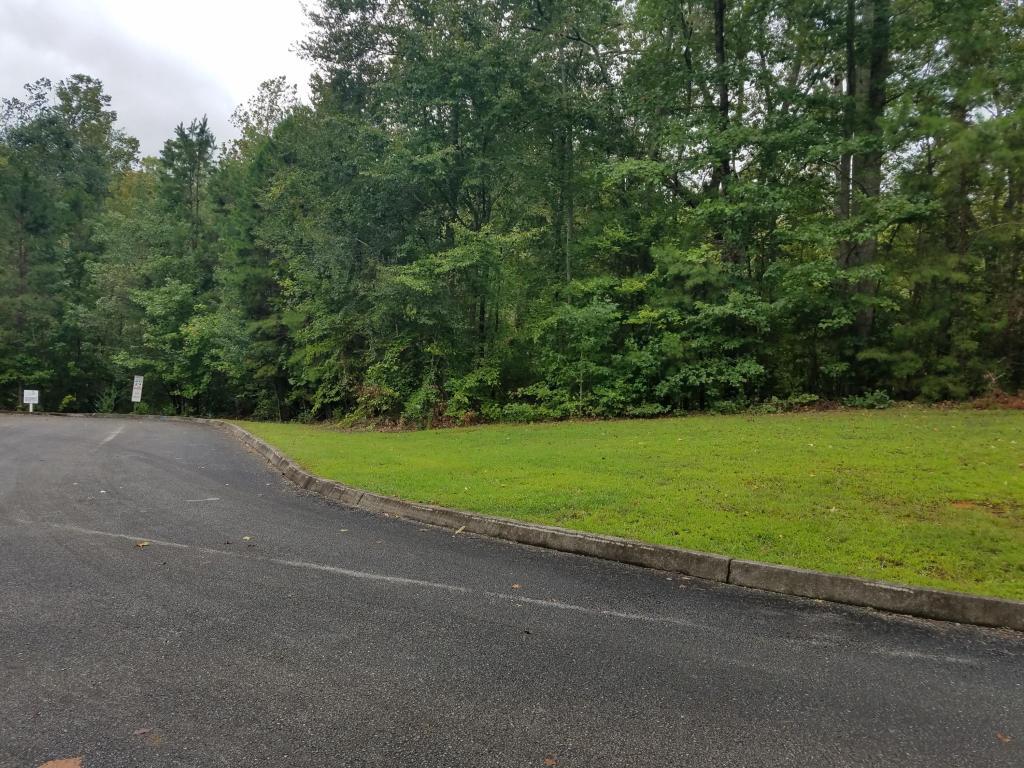 Osprey Way - Photo 1