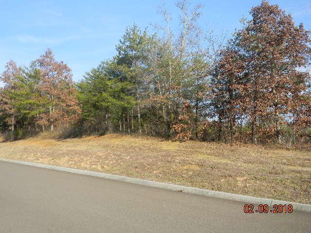 Lot 88 Red Wing Drive - Photo 1