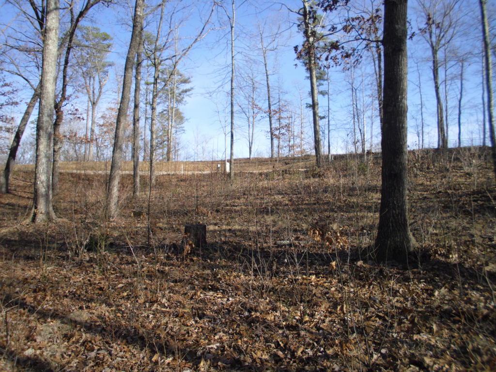 Eagle Bluff Rd - Photo 1