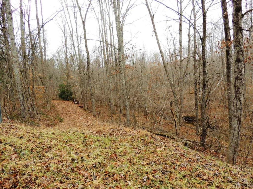 0 Creek Drive - Photo 1
