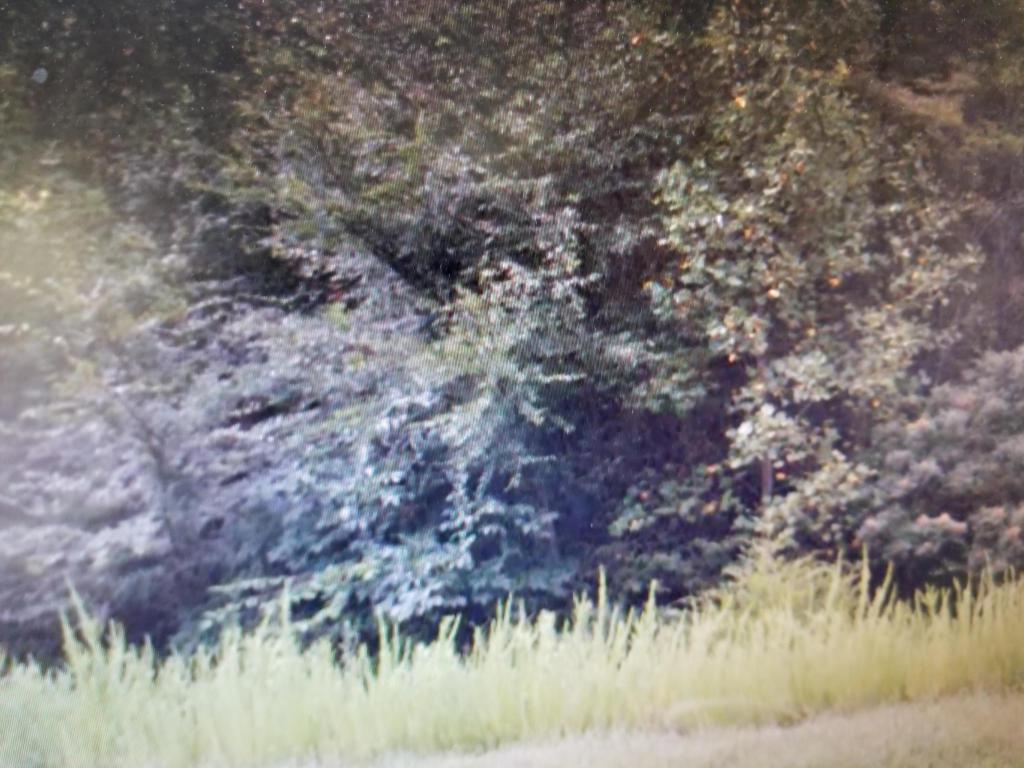 Lot 638 Chicory Court - Photo 1