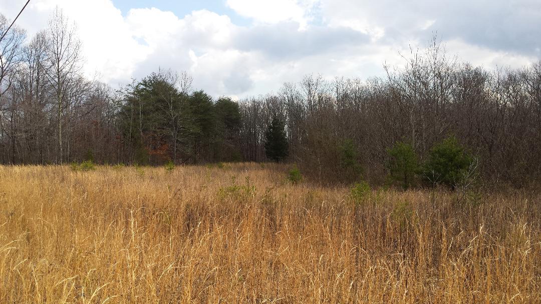 29.17 Ac. Raccoon Ridge Rd - Photo 1