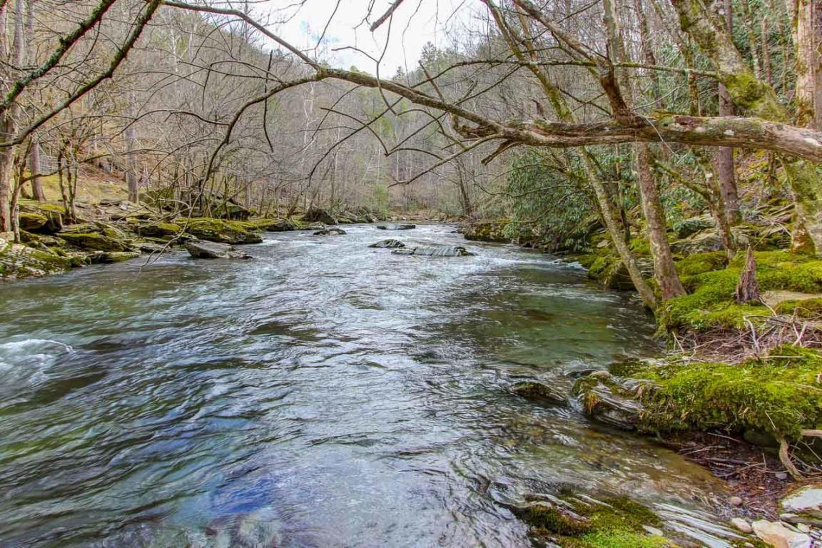 L17 Riversong Way - Photo 1