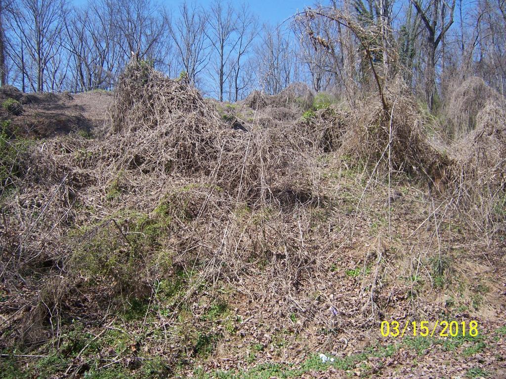 1203 Army St - Photo 1