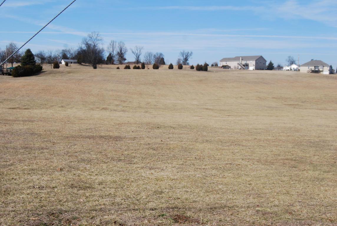 Lot 1 & 2 Burchfield / Old Oak Grove Rd - Photo 1