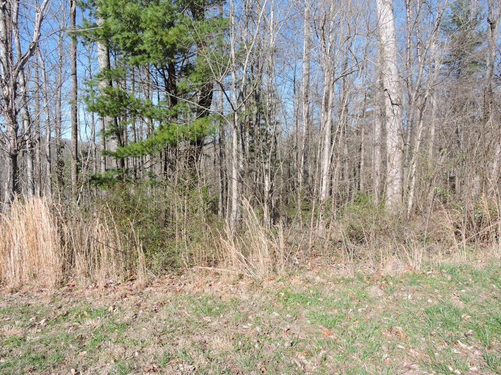 Hickory Tr - Photo 1