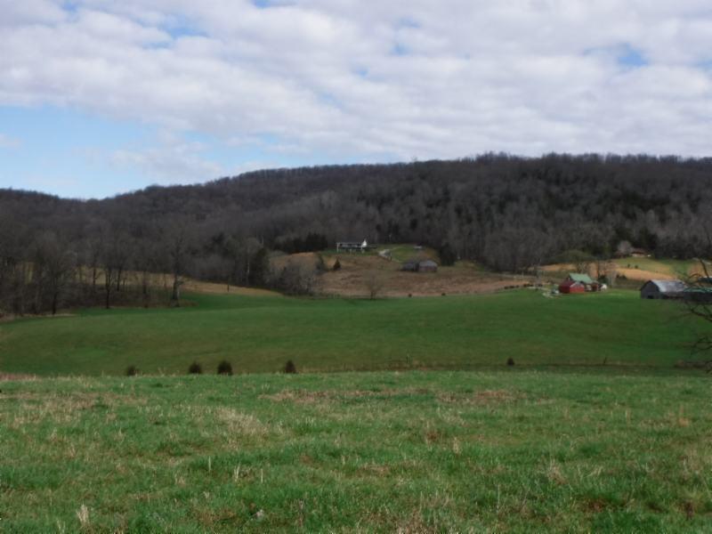 49 Clarence Gillen Rd - Photo 1