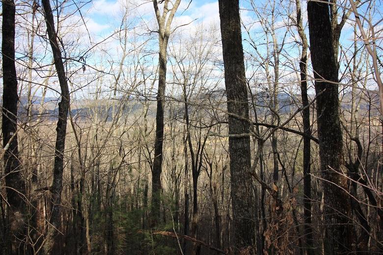 Lot 12 Little Mtn. Way - Photo 1