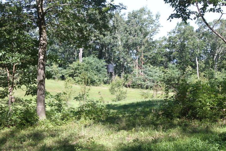 Sims Rd - Photo 1
