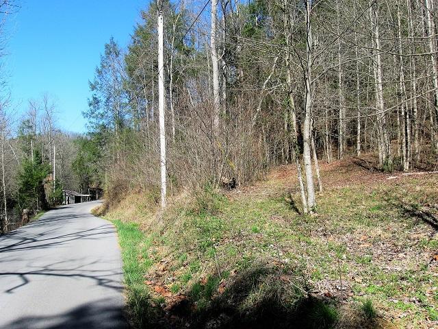 Lot 1 Rocky Flats Rd - Photo 1