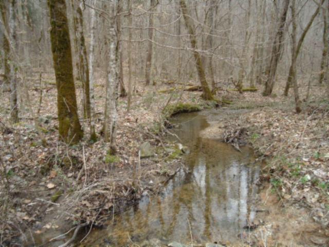 218 Ac. Old Stevens Road - Photo 1