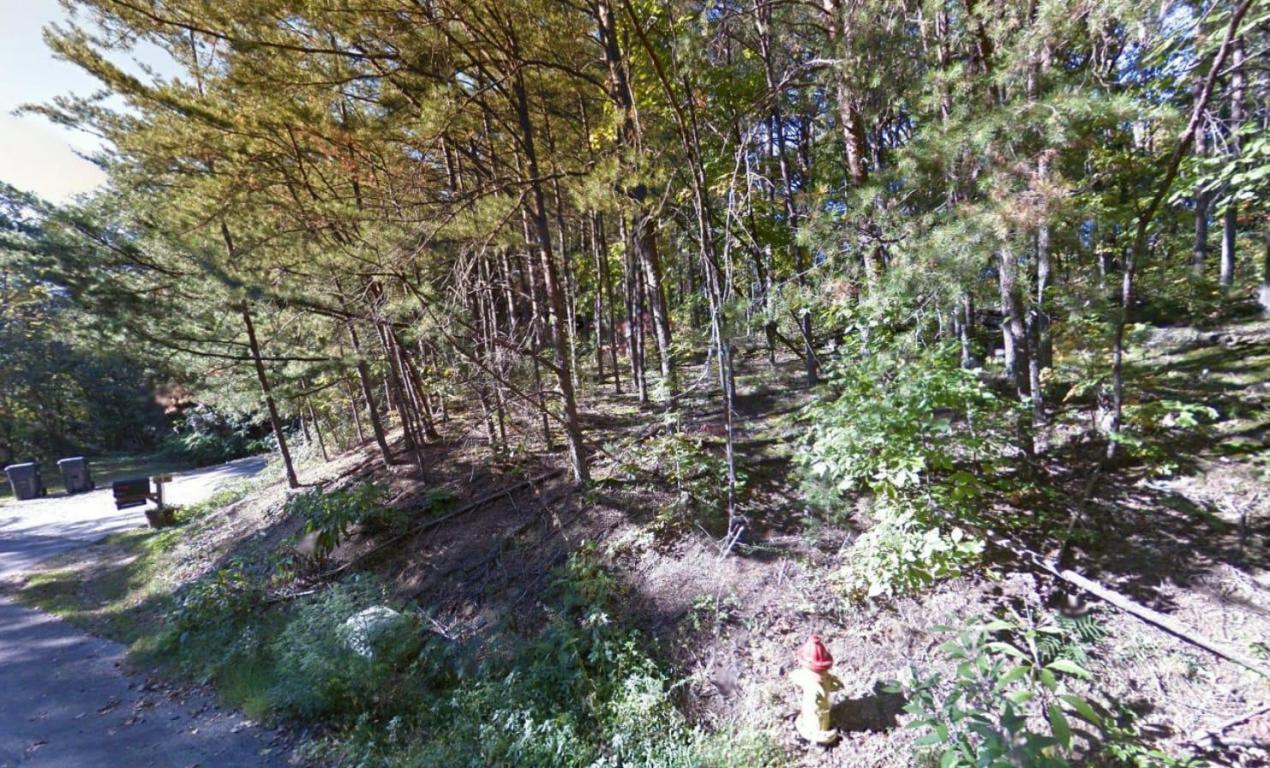 Cedar Rd - Photo 1