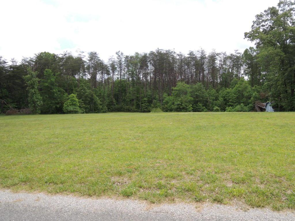 Boone Dock Road Rd - Photo 1