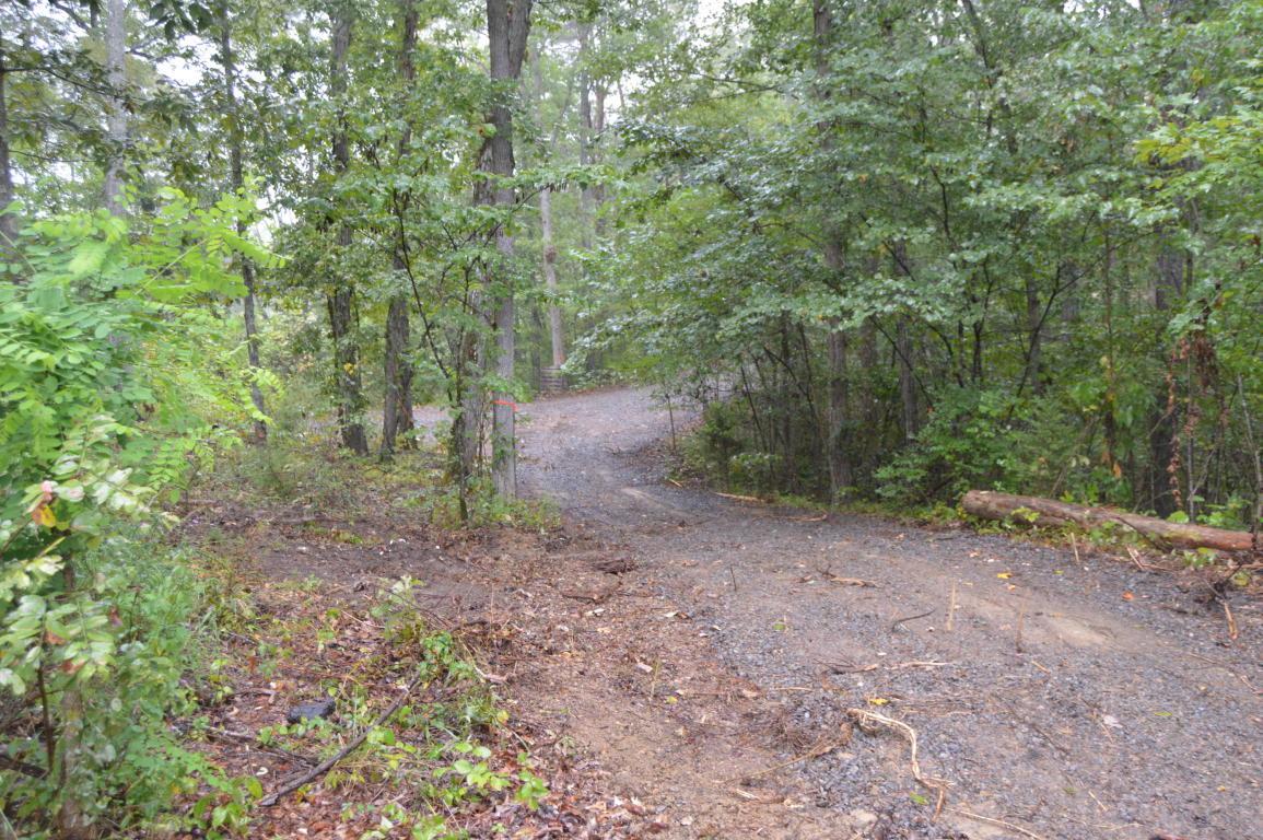 Indian Creek Rd - Photo 1