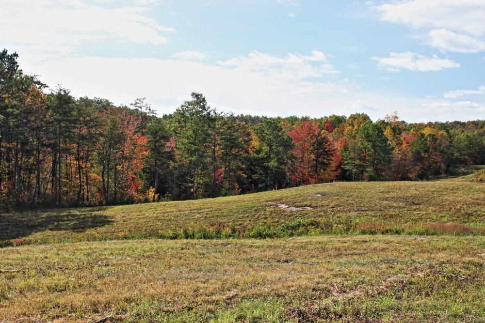Lot 68 Vista View Pkwy - Photo 1