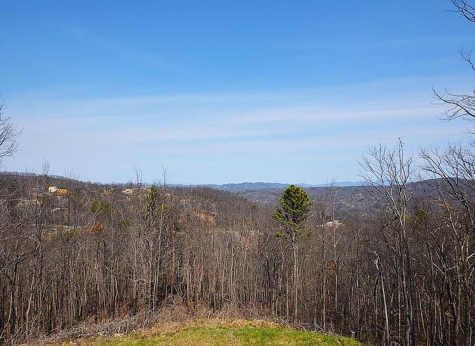 Lots 556-558 Short Ridge Court - Photo 1