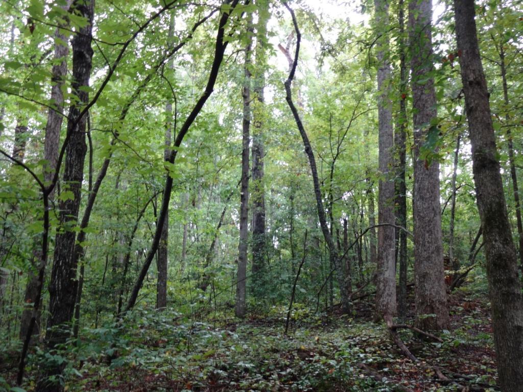 Highland Rd - Photo 1