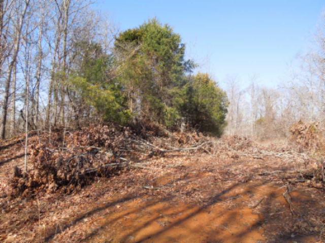 20.65 Thunder Bay Trail - Photo 1
