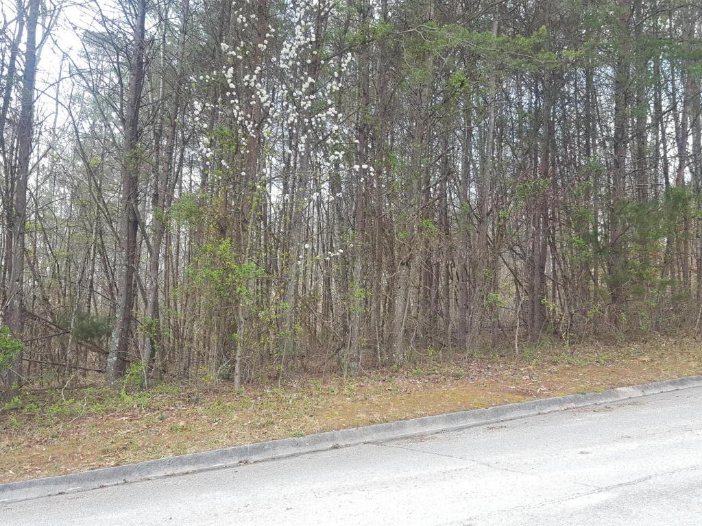 Royal View Ln - Photo 1