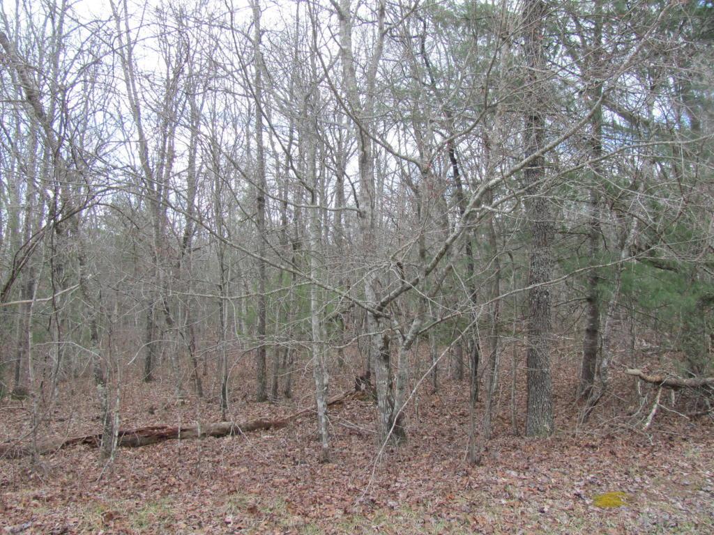216 Bainbridge Rd - Photo 1