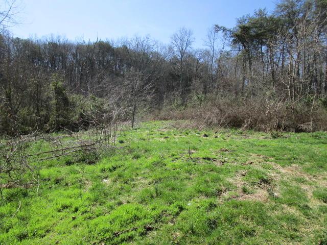 Joe Williams Rd - Photo 1