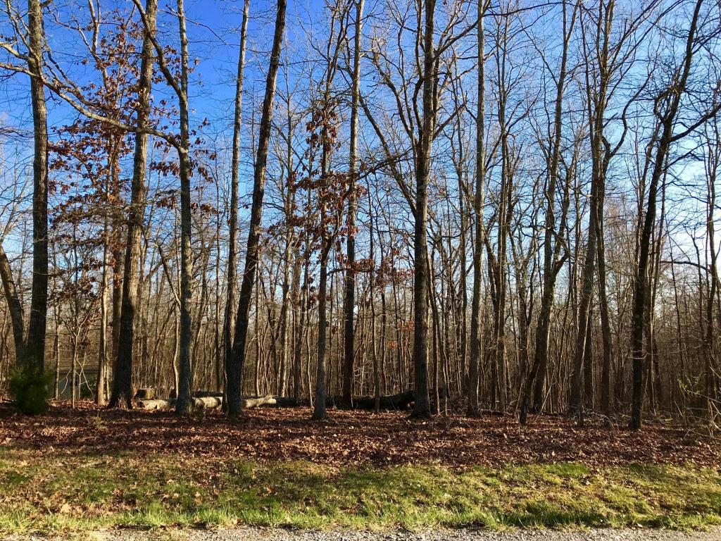 326 Lakeview Drive - Photo 1
