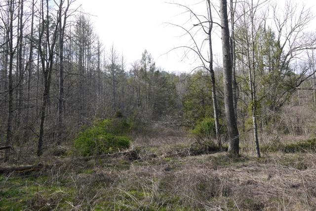 Par 019.00 Ball Hollow Rd - Photo 1