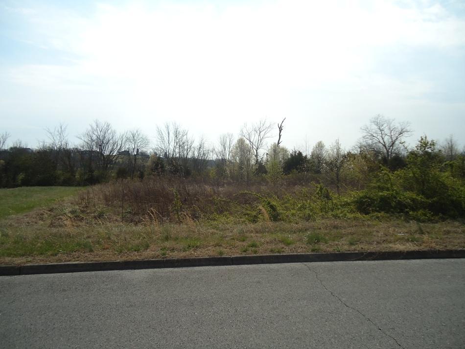 Lot 9-R Fox Meadows Blvd - Photo 1