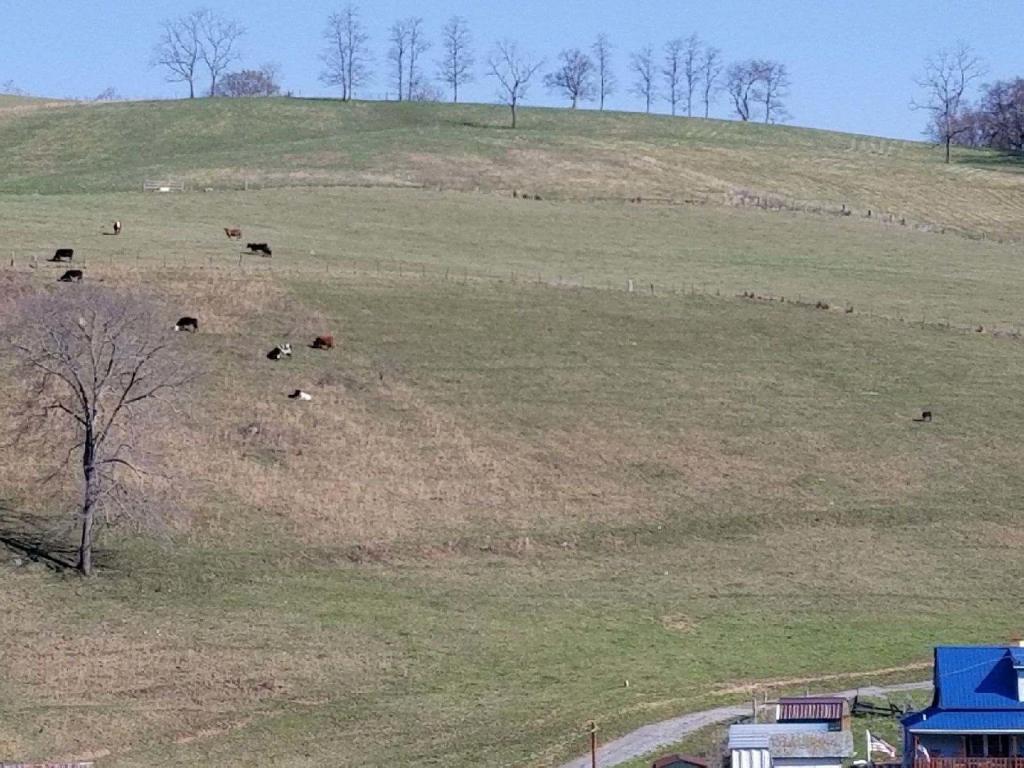Greer Circle Rd - Photo 1
