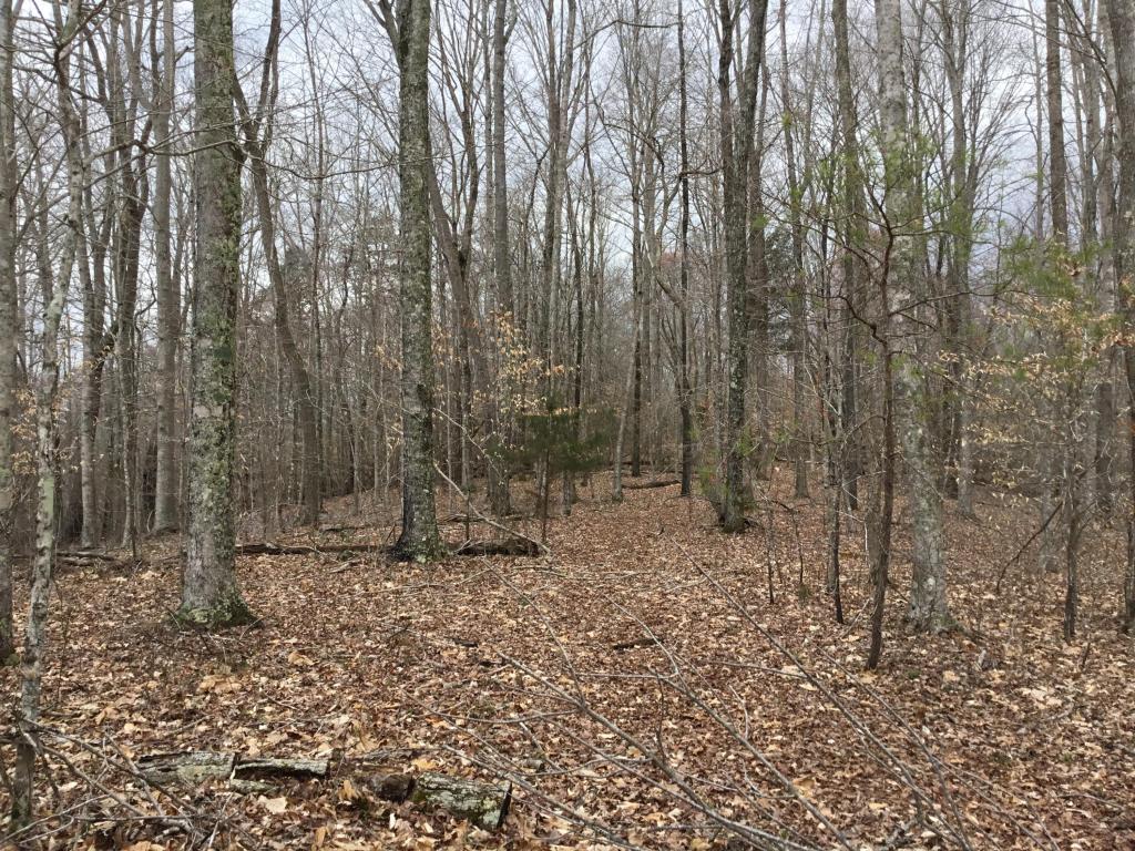 Lot 56 Stoney Rock Lane - Photo 1