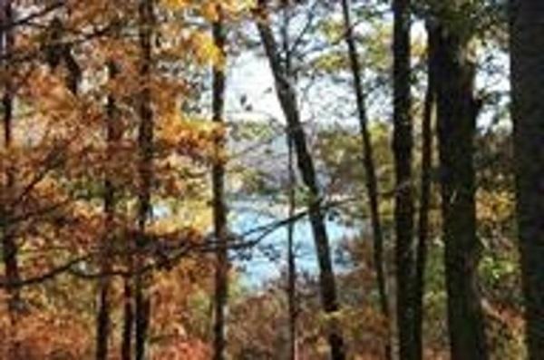 Lot 4 Lakemoore Drive - Photo 1