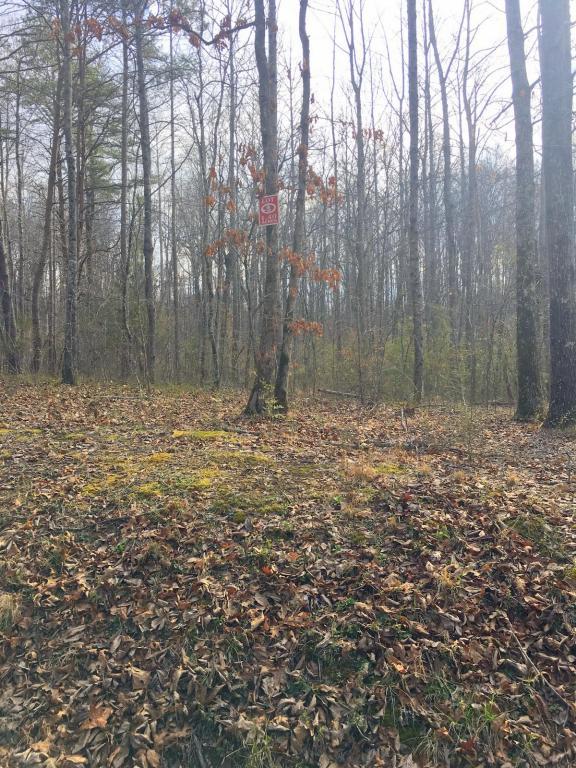 County Road 263 - Photo 1