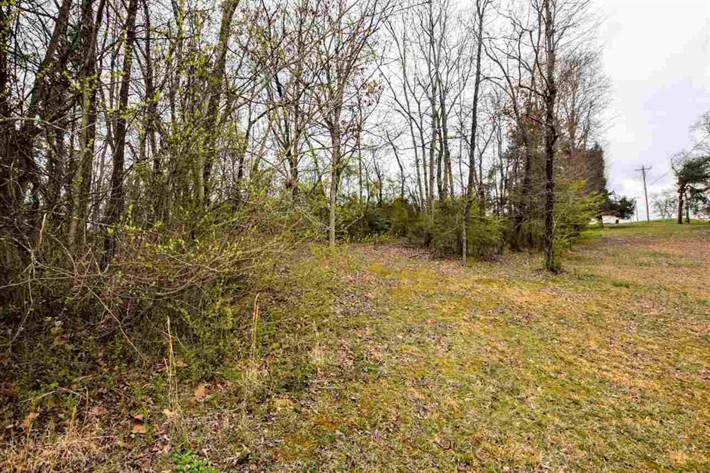 Lot 1 Kemmer Rd - Photo 1
