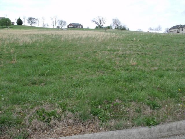 Victory Drive - Photo 1