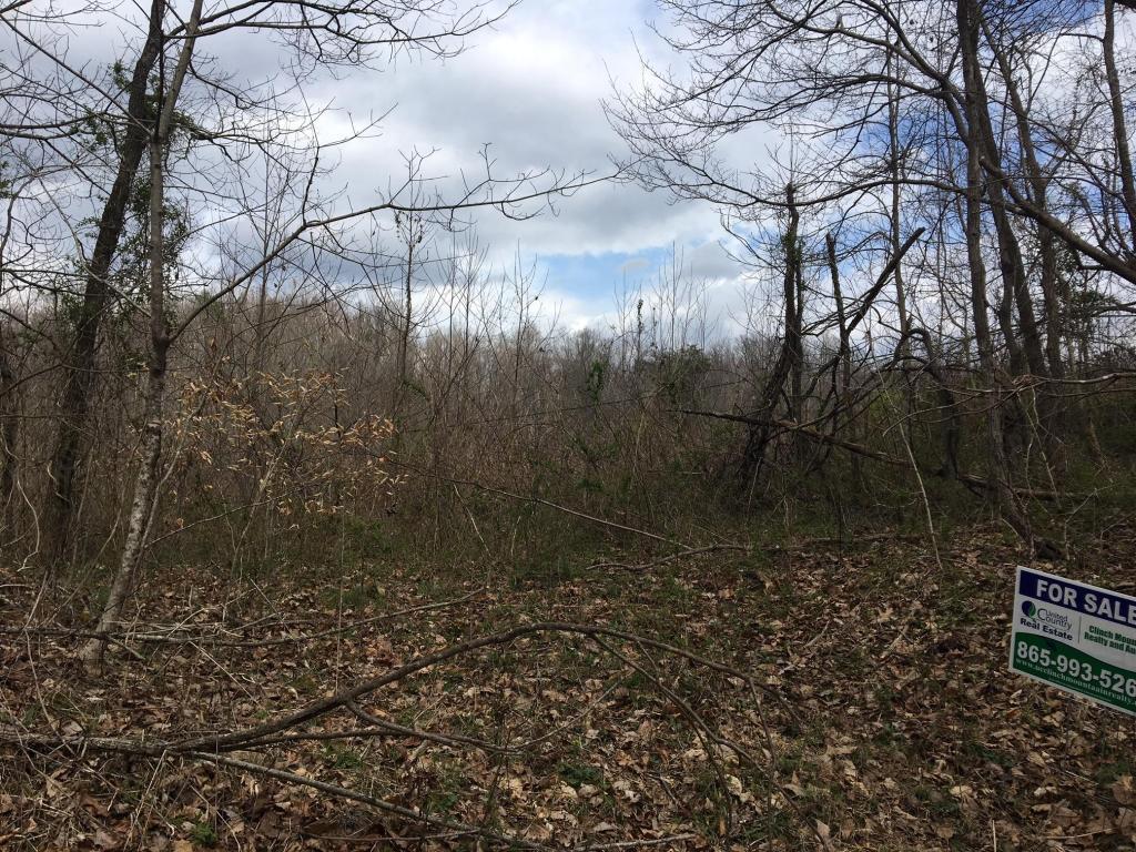0 Old Mountain Rd - Photo 1