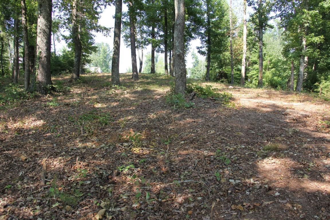 Lot 20 Spring Crossing Drive - Photo 1