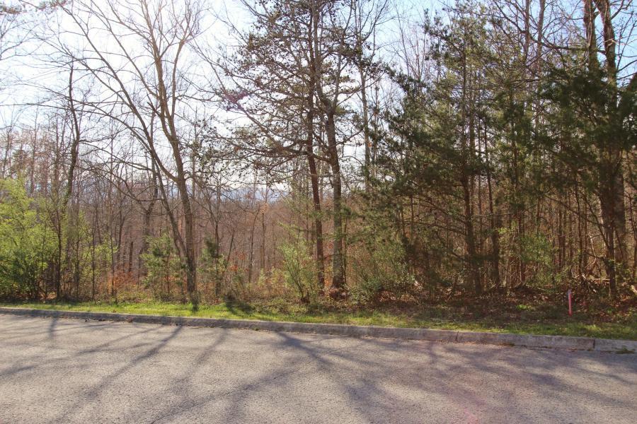 216 Timberland Lane - Photo 1