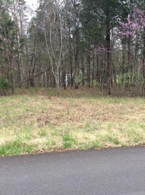 Mill Creek Run Lane - Photo 1
