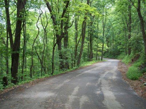 Old Cades Cove Rd - Photo 1