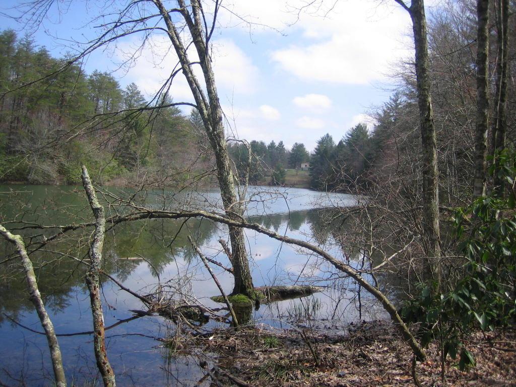 Basses Creek Lane, Lot 7 - Photo 1