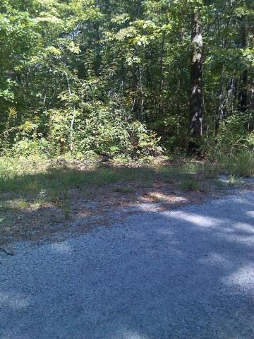Cherrywood Drive - Photo 1