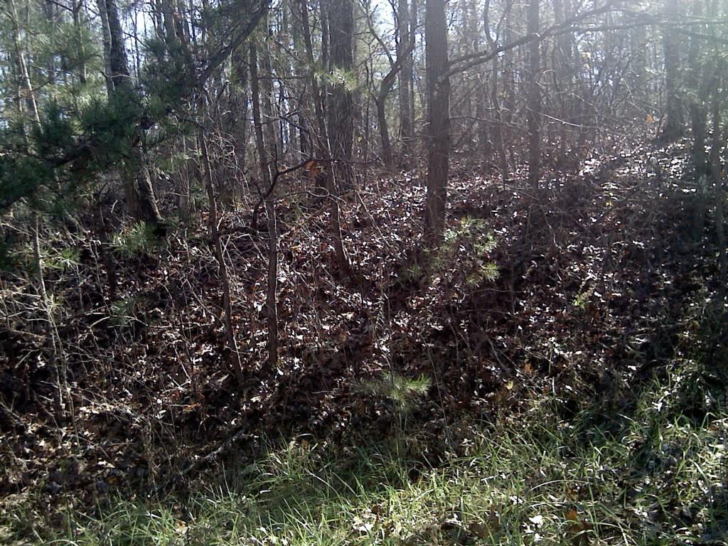 Cherrywood Drive - Photo 1