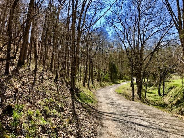 Daniel Hollow Road - Photo 1