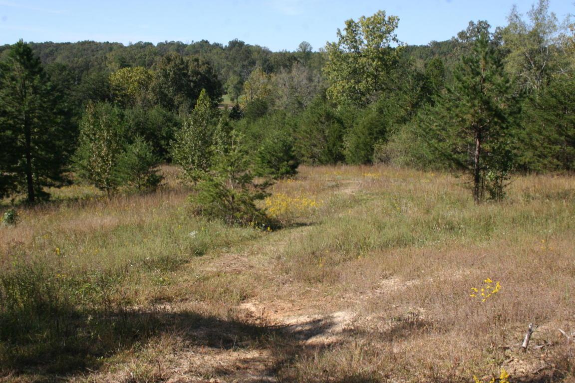 County Road 461 - Photo 1