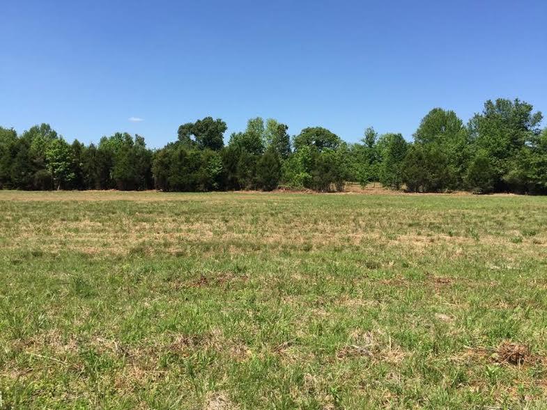 Whitson Chapel Rd - Photo 1